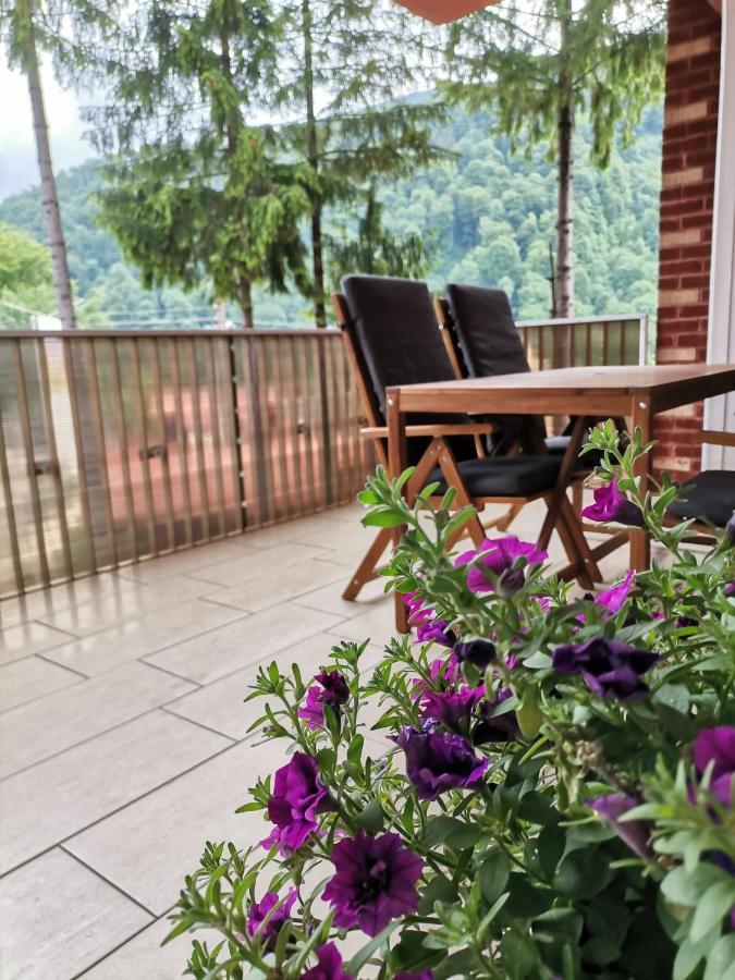 Criss Apartament Sinaia Exteriér fotografie
